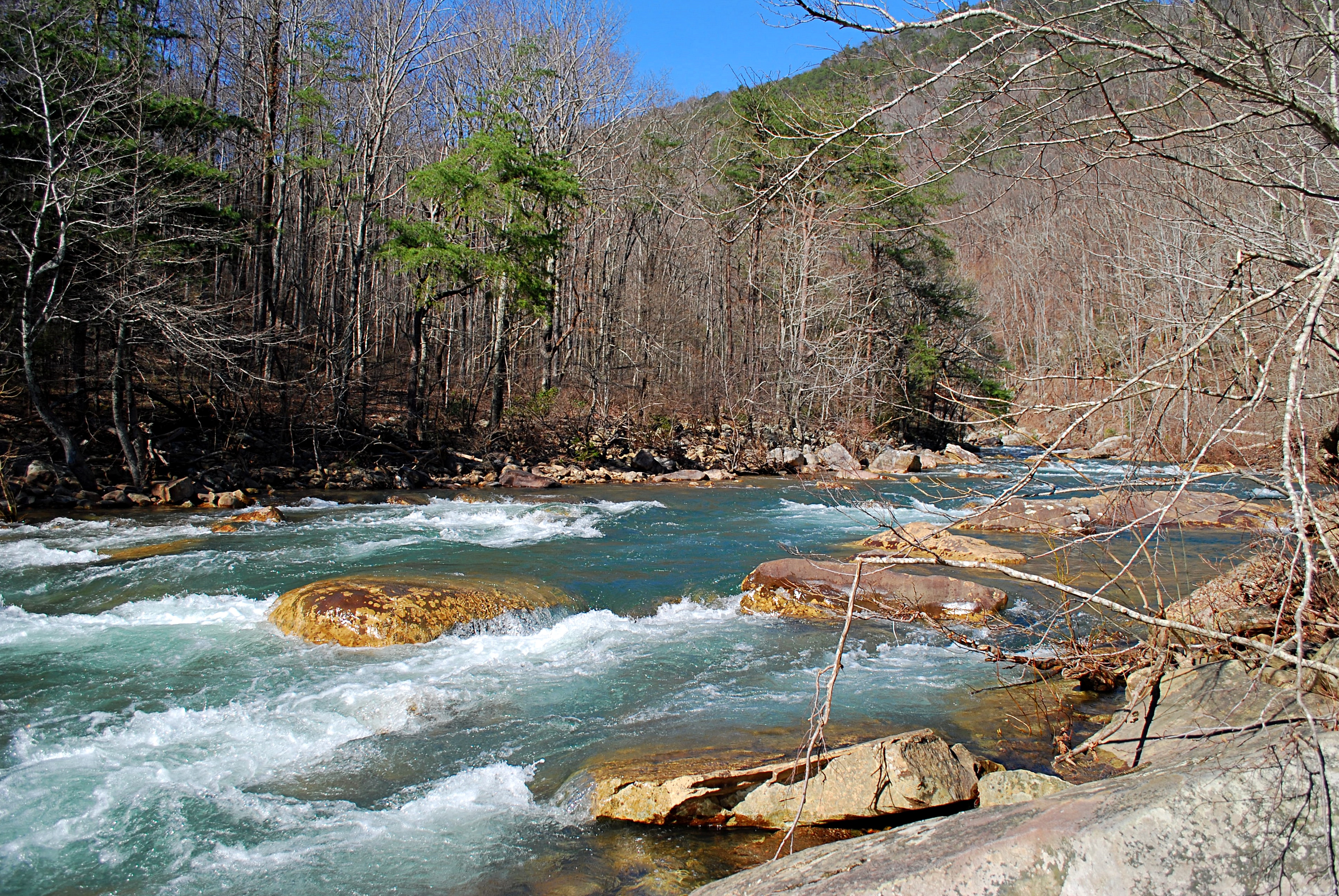 Escape The Ordinary:  Unleash Your Inner Explorer In Tennessee’s North Chickamauga Creek Gorge