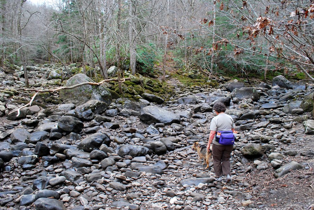 Stone Door Trail