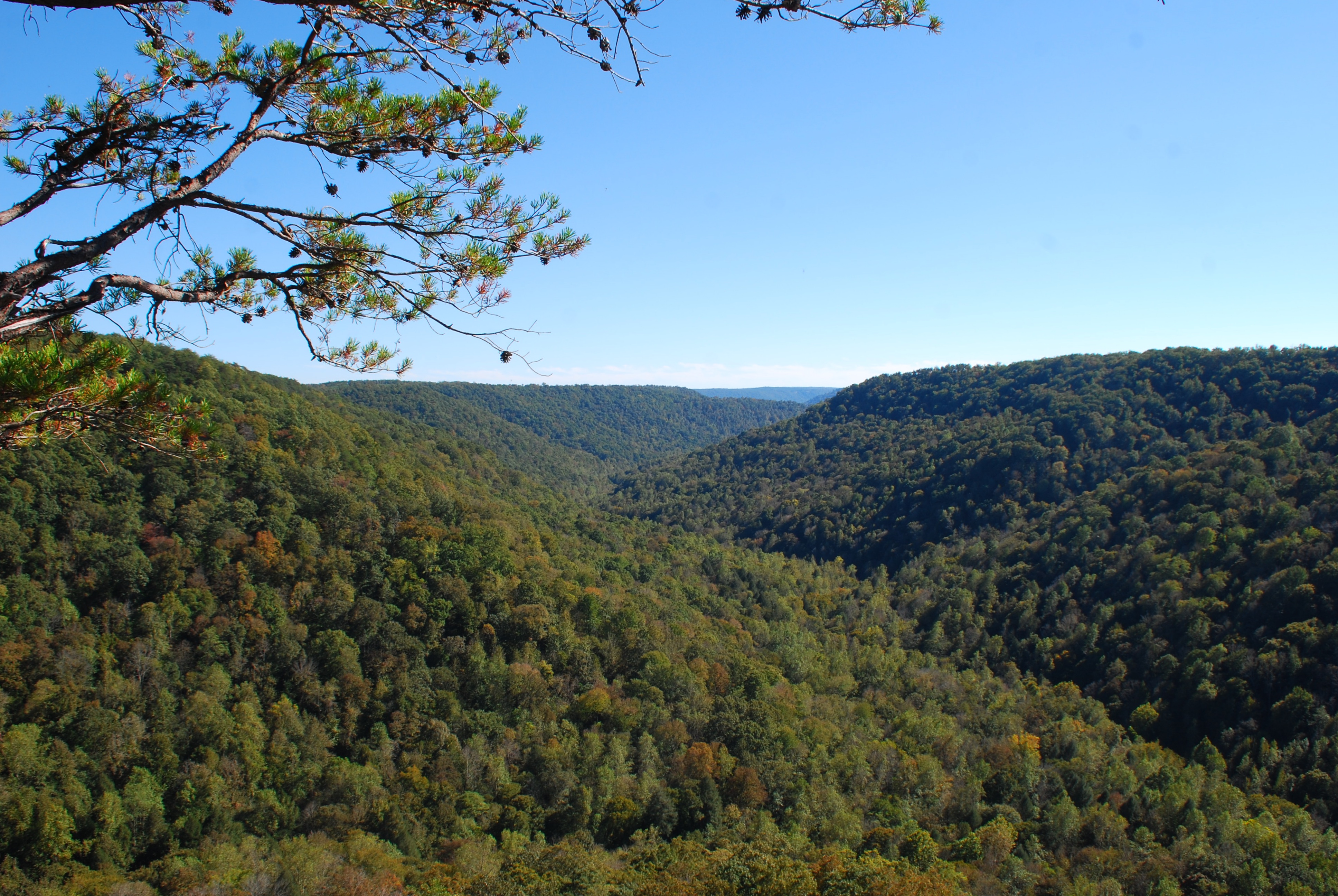 are dogs allowed at south cumberland state park