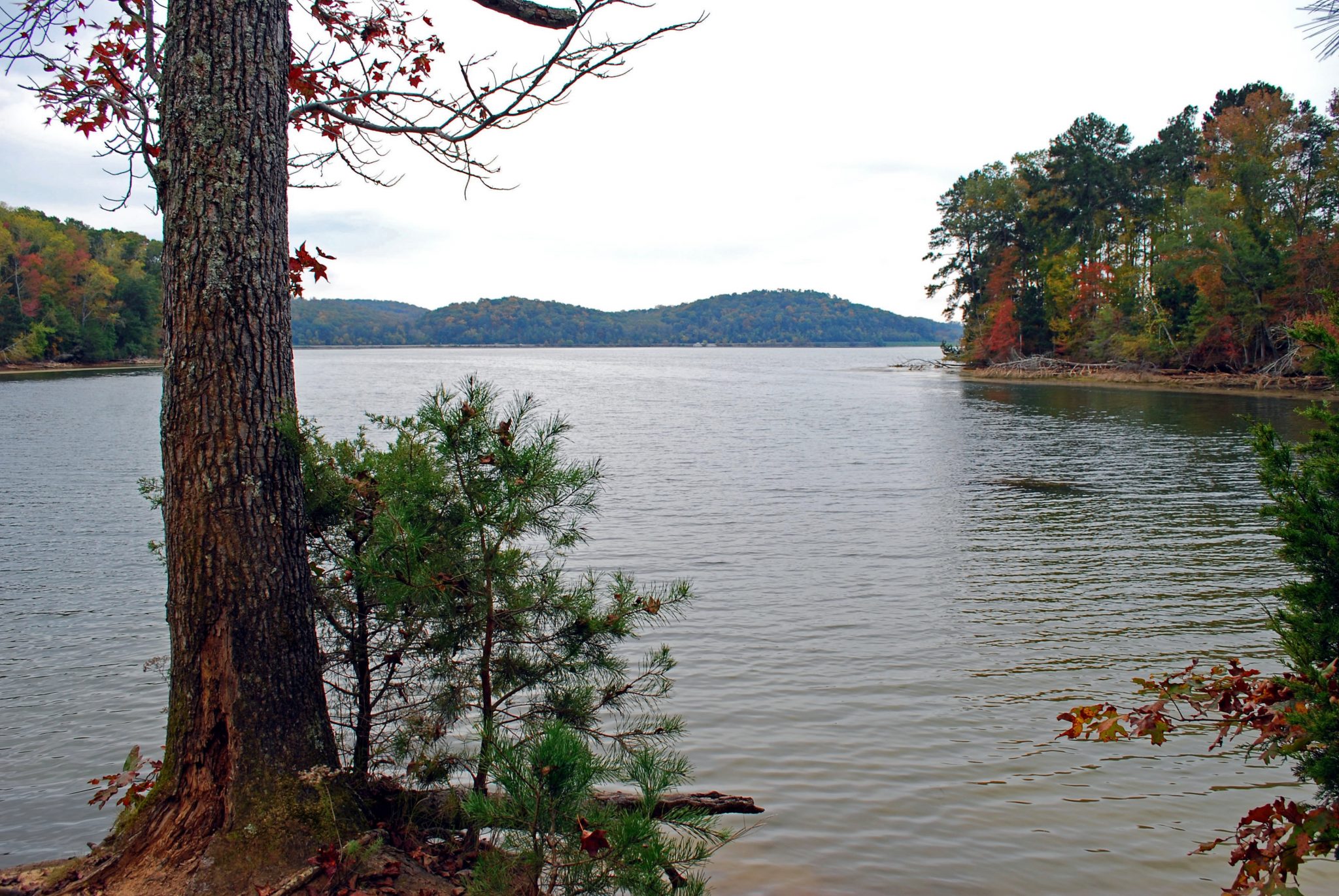 Harrison Bay Tennessee’s First State Park Chattanooga Region Travel