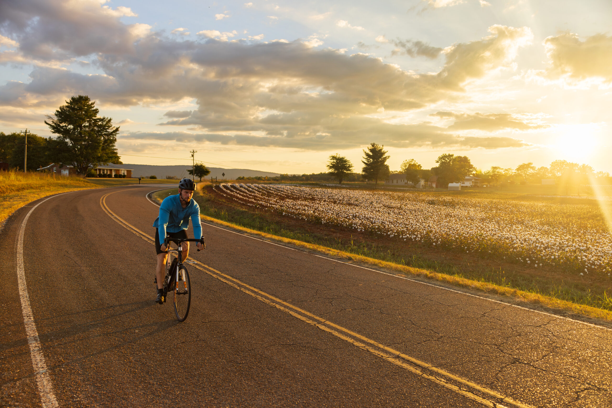 Bikeways of the Scenic South